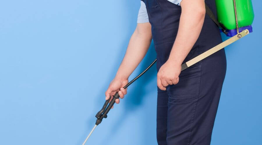 Why choose Vineland Exterminator for pest control services in Vineland